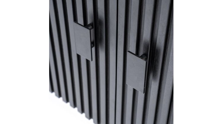 Eleonora Remi Dressoir