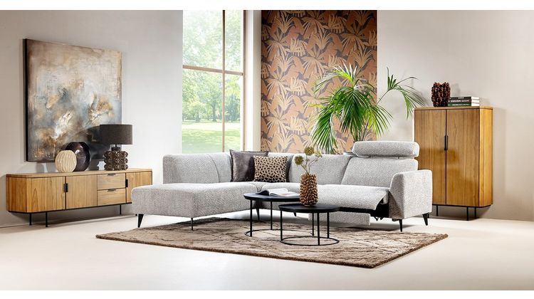 Feelings Newton Hoekbank