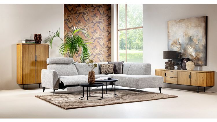 Feelings Newton Hoekbank