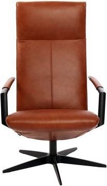 Gealux Earth Relaxfauteuil
