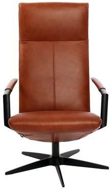 Gealux Earth Relaxfauteuil
