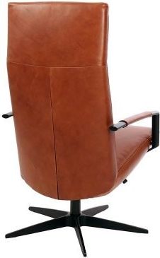 Gealux Earth Relaxfauteuil