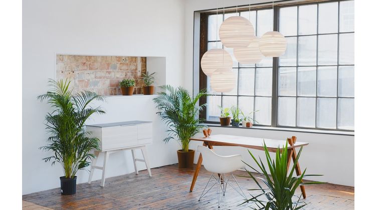 Graypants Moon White Hanglamp