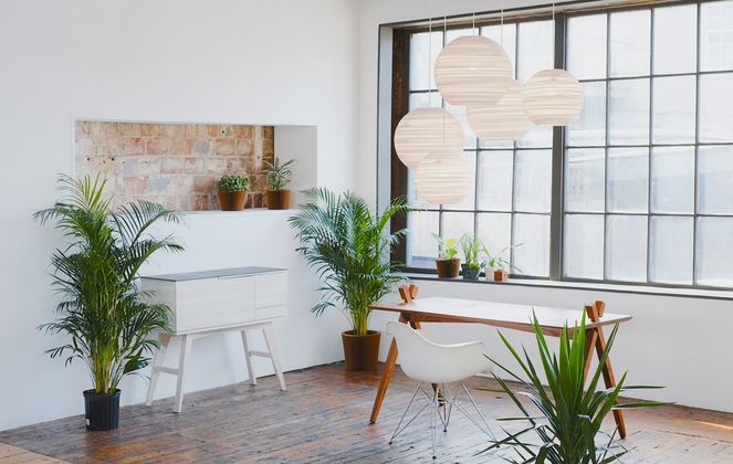 Graypants Moon White Hanglamp