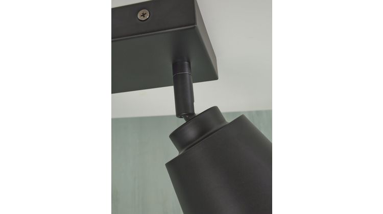 It's about RoMi Bremen 2 spots Plafondlamp