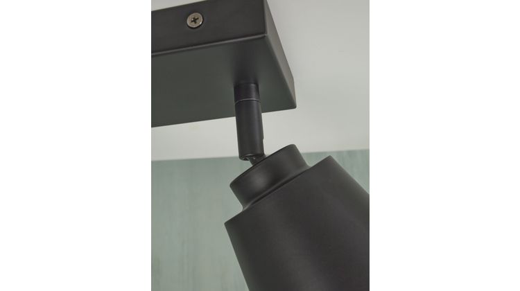 It's about RoMi Bremen 2 spots Plafondlamp