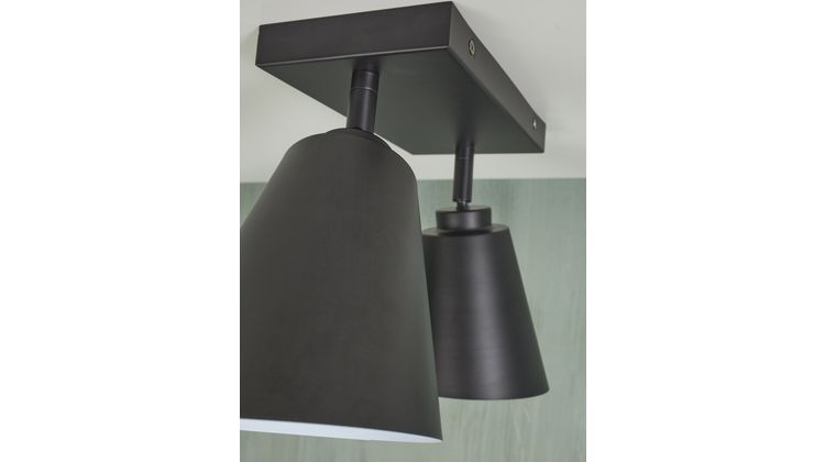 It's about RoMi Bremen 2 spots Plafondlamp