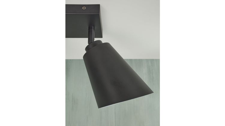 It's about RoMi Bremen 2 spots Plafondlamp