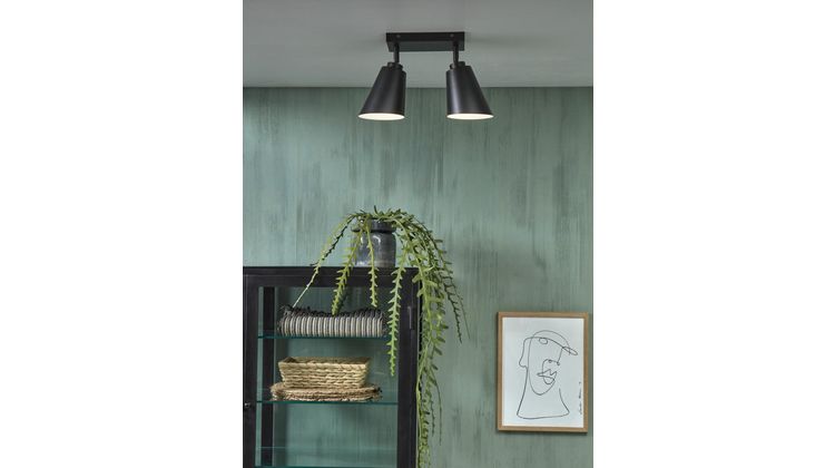 It's about RoMi Bremen 2 spots Plafondlamp
