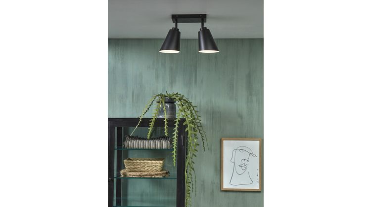 It's about RoMi Bremen 2 spots Plafondlamp