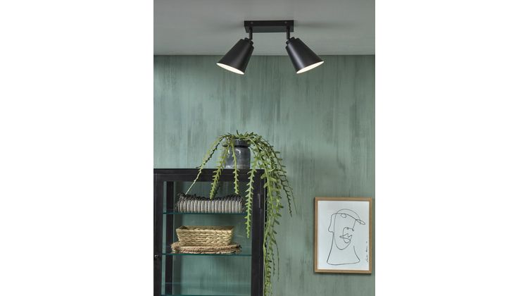 It's about RoMi Bremen 2 spots Plafondlamp