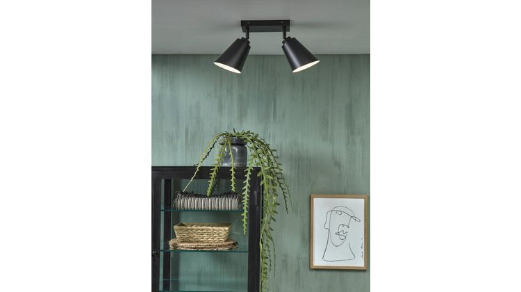 It's about RoMi Bremen 2 spots Plafondlamp