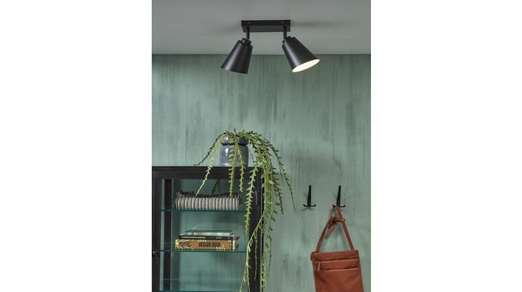 It's about RoMi Bremen 2 spots Plafondlamp