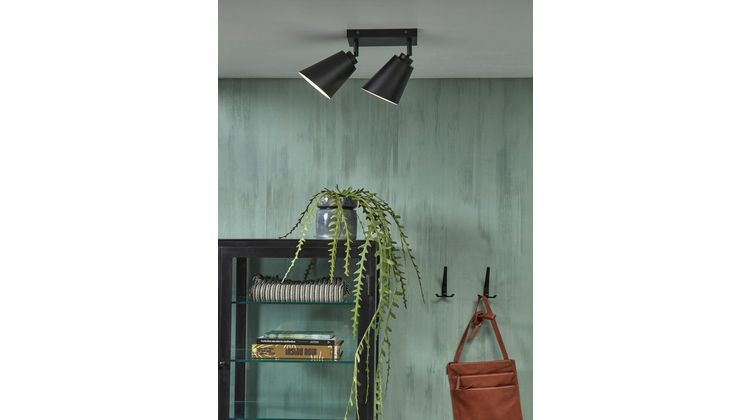 It's about RoMi Bremen 2 spots Plafondlamp