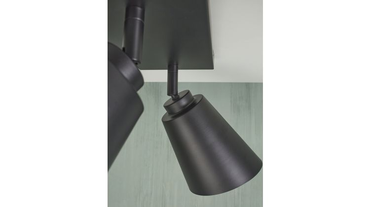 It's about RoMi Bremen 2 spots Plafondlamp