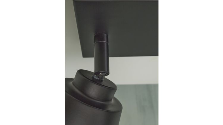 It's about RoMi Bremen 2 spots Plafondlamp