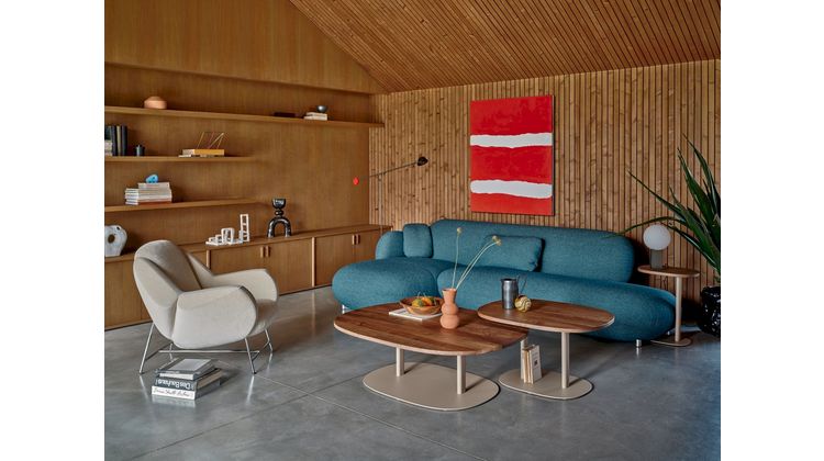 Leolux Anton Fauteuil