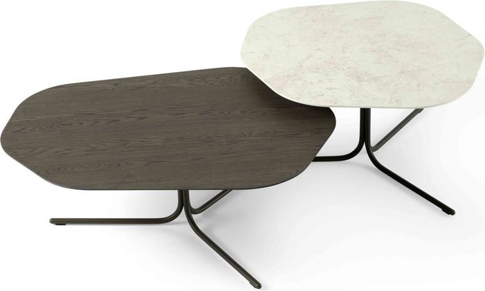 Leolux Canopy Salontafel