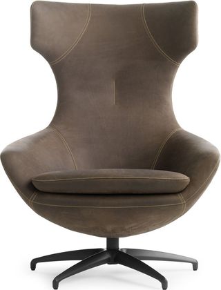 Leolux Caruzzo Primo Fauteuil