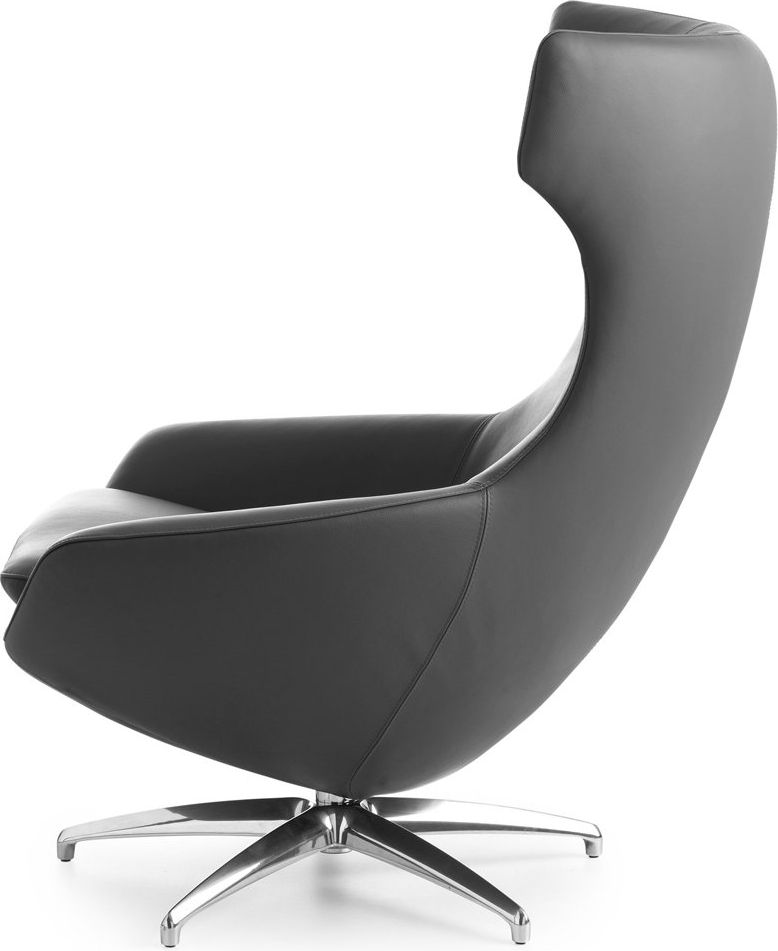 Leolux Caruzzo Primo Plus Fauteuil