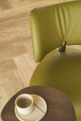 Leolux Pallone Pa Fauteuil