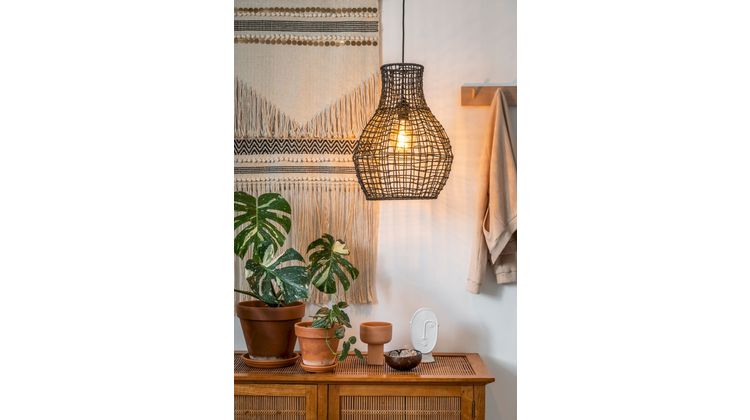 Lucide Alban Hanglamp