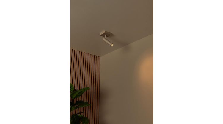 Lucide Grado Taupe Plafondspot