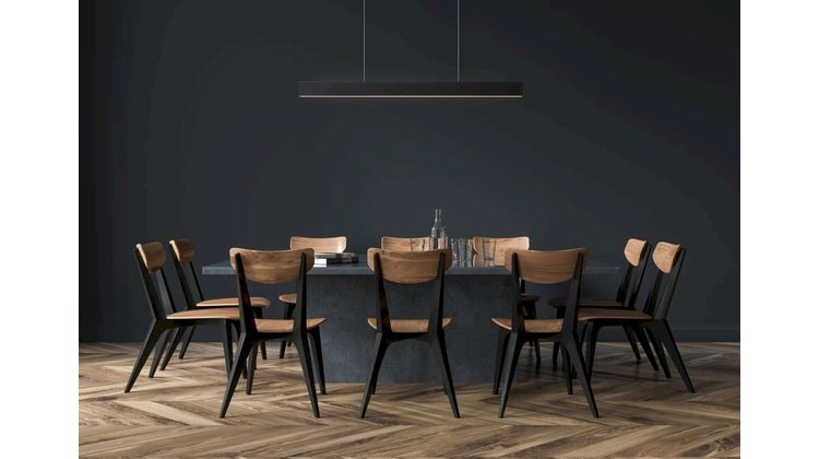 Lucide Raya Zwart Hanglamp
