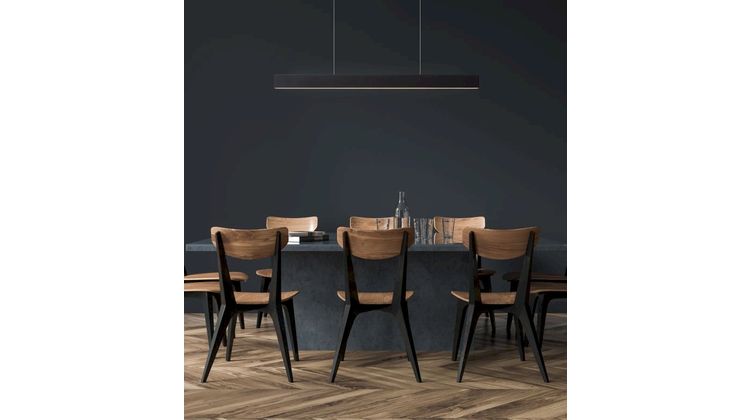 Lucide Raya Zwart Hanglamp