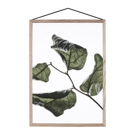Moebe Floating Leaves 03 Poster