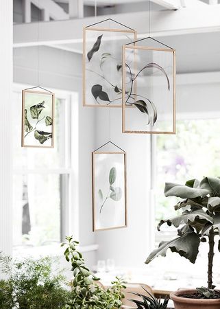 Moebe Floating Leaves 06 Poster