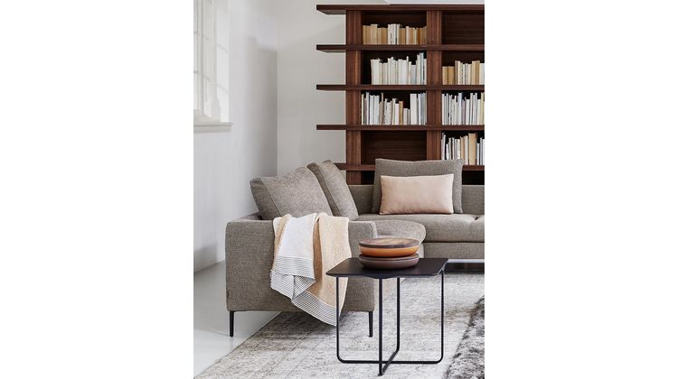 Montis Daley Soft Bank