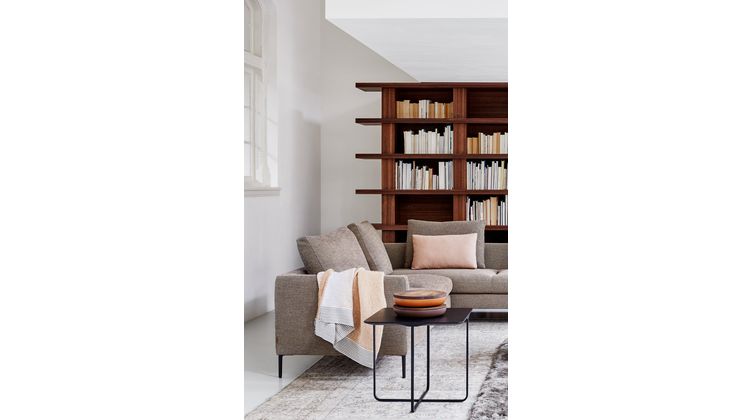 Montis Daley Soft Bank