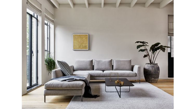 Montis Daley Soft Bank