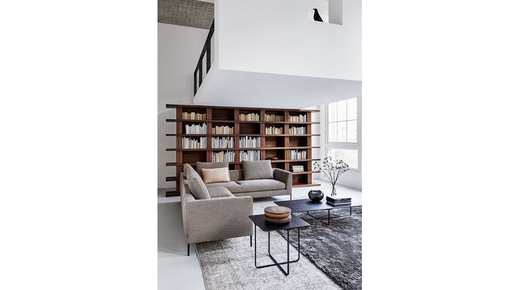 Montis Daley Soft Bank