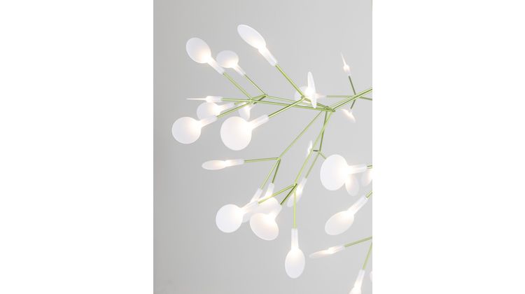 Moooi Heracleum Hanglamp