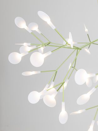Moooi Heracleum Hanglamp