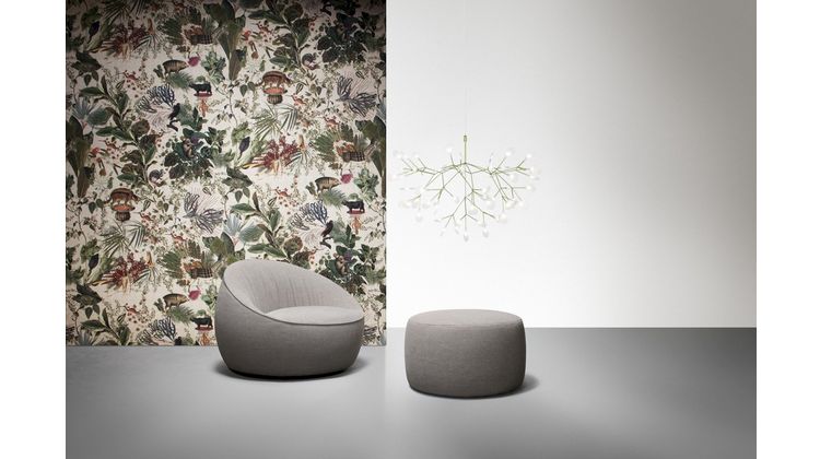 Moooi Heracleum Hanglamp
