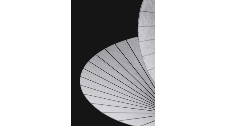 Moooi Serpentine Hanglamp