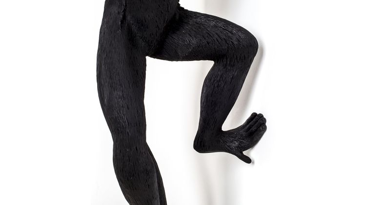 Seletti Monkey Right Wandlamp