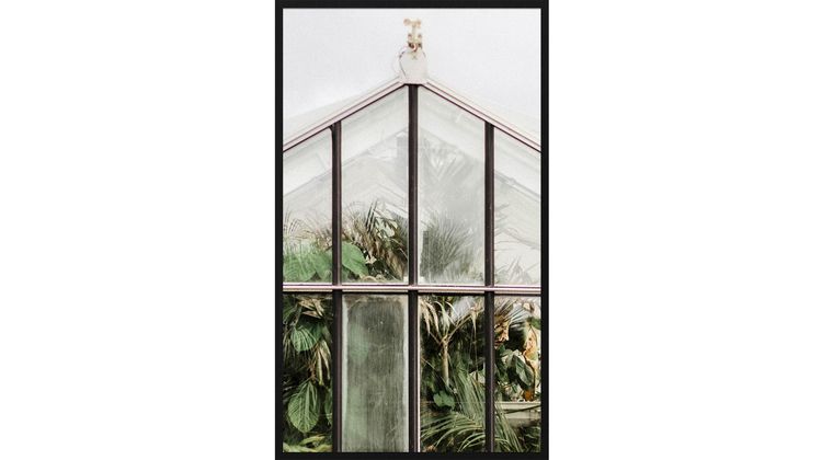 Trendhopper Botanical Stories Wanddecoratie