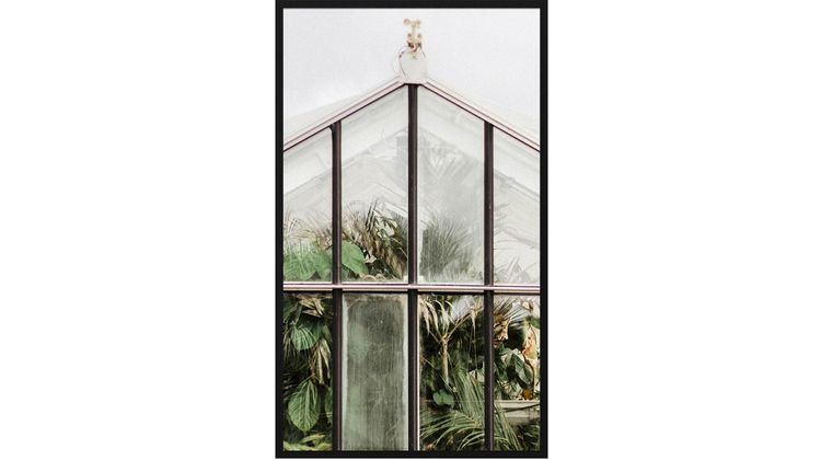 Trendhopper Botanical Stories Wanddecoratie