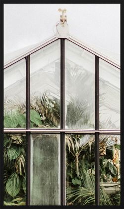 Trendhopper Botanical Stories Wanddecoratie