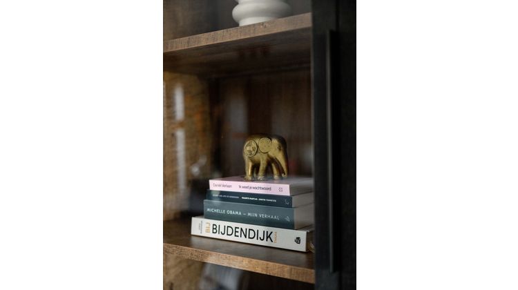 Trendhopper Gaya Buffetkast