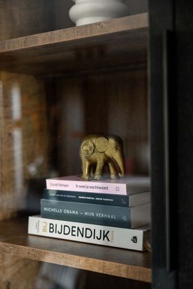Trendhopper Gaya Vitrinekast