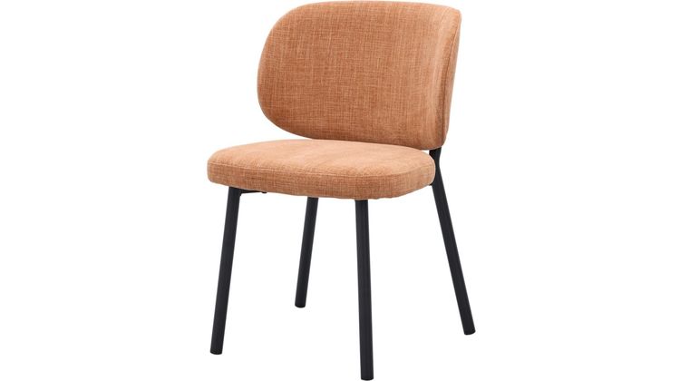 Trendhopper Swan Eetkamerstoel