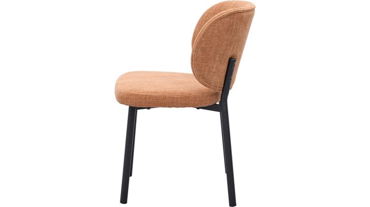 Trendhopper Swan Eetkamerstoel