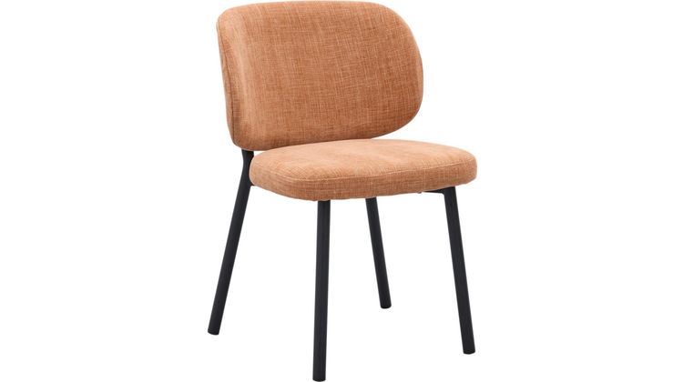 Trendhopper Swan Eetkamerstoel