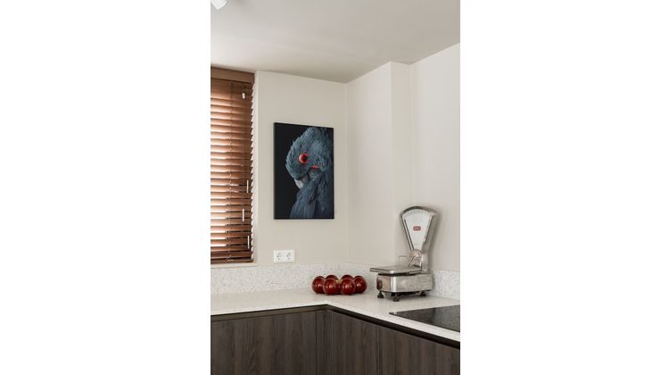 Urban Nature Culture Sisko Schaal