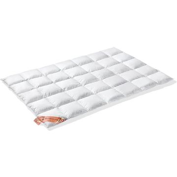 Vandyck Excellent 650 Dekbed